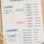 Fiche de révisions en poésie avec des notes et des illustrations