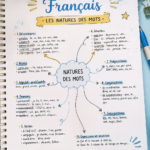 Fiches de révision sur les natures des mots en français pour enfants