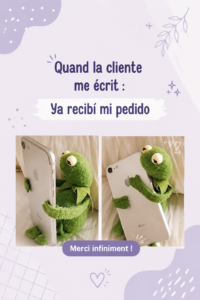 Femme recevant un colis chez elle, organisant sa réception