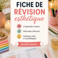 Exemple de fiches de révision esthétiques et bien organisées, adaptées aux femmes actives.