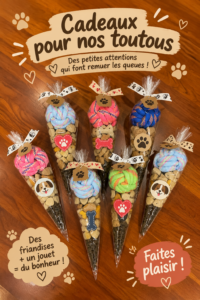Chien heureux avec un cadeau de fête