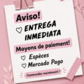 Femme d'affaires utilisant un ordinateur pour gérer ses moyens de paiement