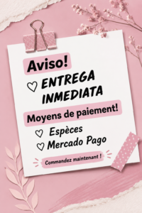 Femme d'affaires utilisant un ordinateur pour gérer ses moyens de paiement